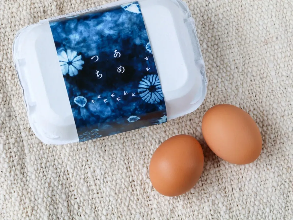 24個】広大な野っぱら放し飼い／有精卵「あめつちたまご」自家製発酵