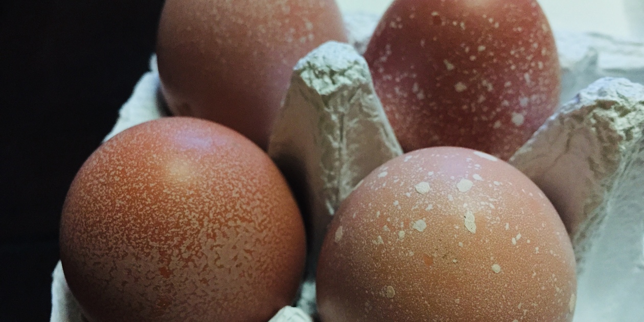 卵の殻(白色)穴1つ 150個 卵の殻(白色)穴1つ 150個