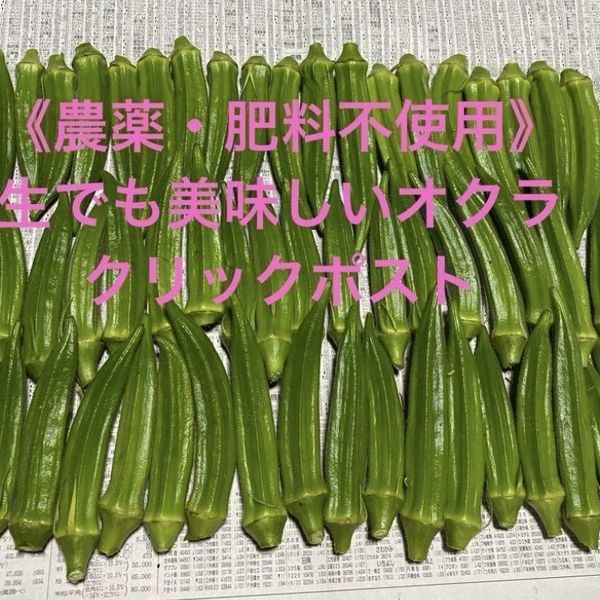 五角オクラ クリックポスト