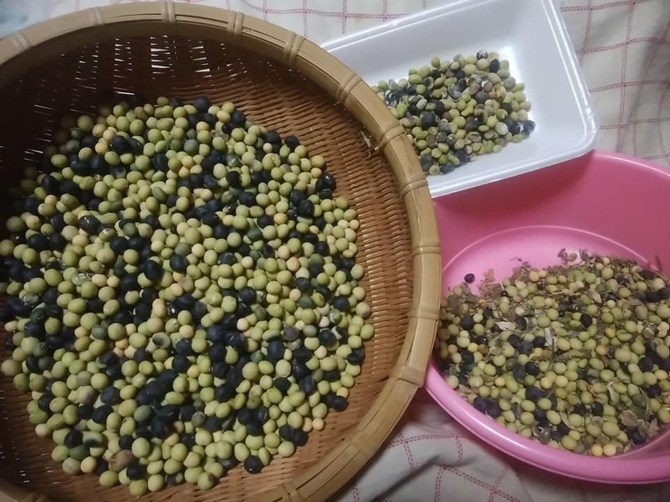 《卵・乳製品不使用》農薬・肥料不使用の自家製きな粉と沖縄黒糖クッキー