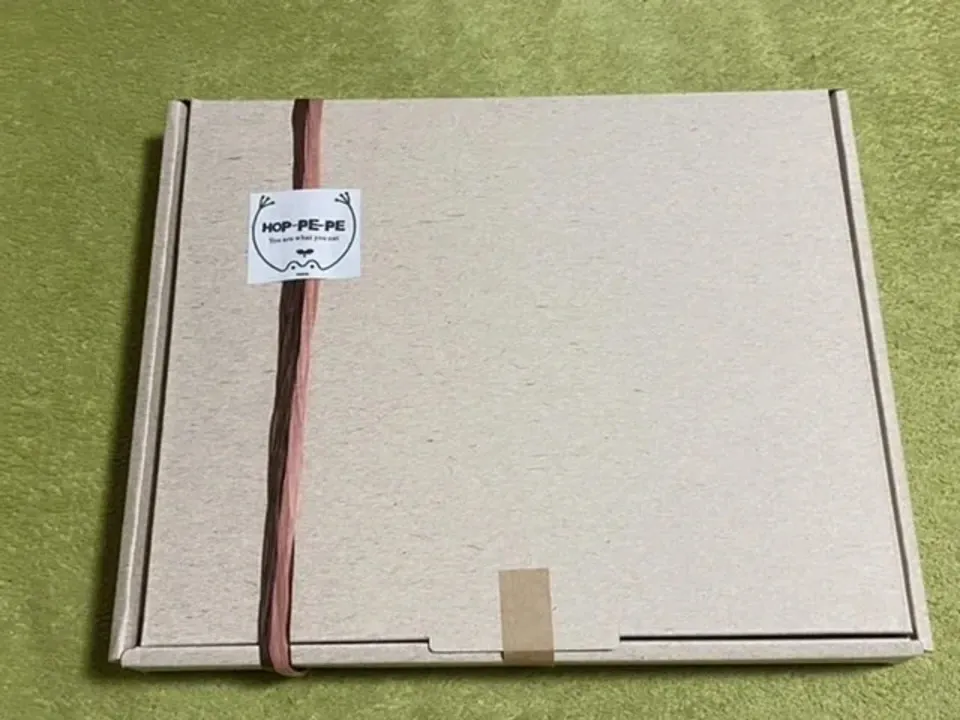 キャンプ　色々詰め合わせセット セイカオエン ハロウィン お菓子 詰め合わせ プレゼント ギフト