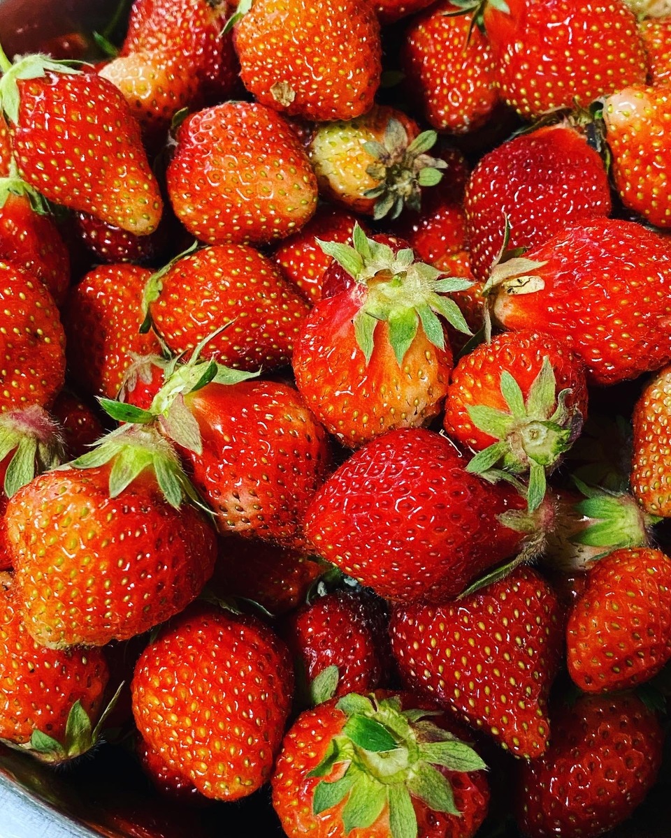 酵素が生きたまま!?《農薬・肥料不使用》ドライイチゴ