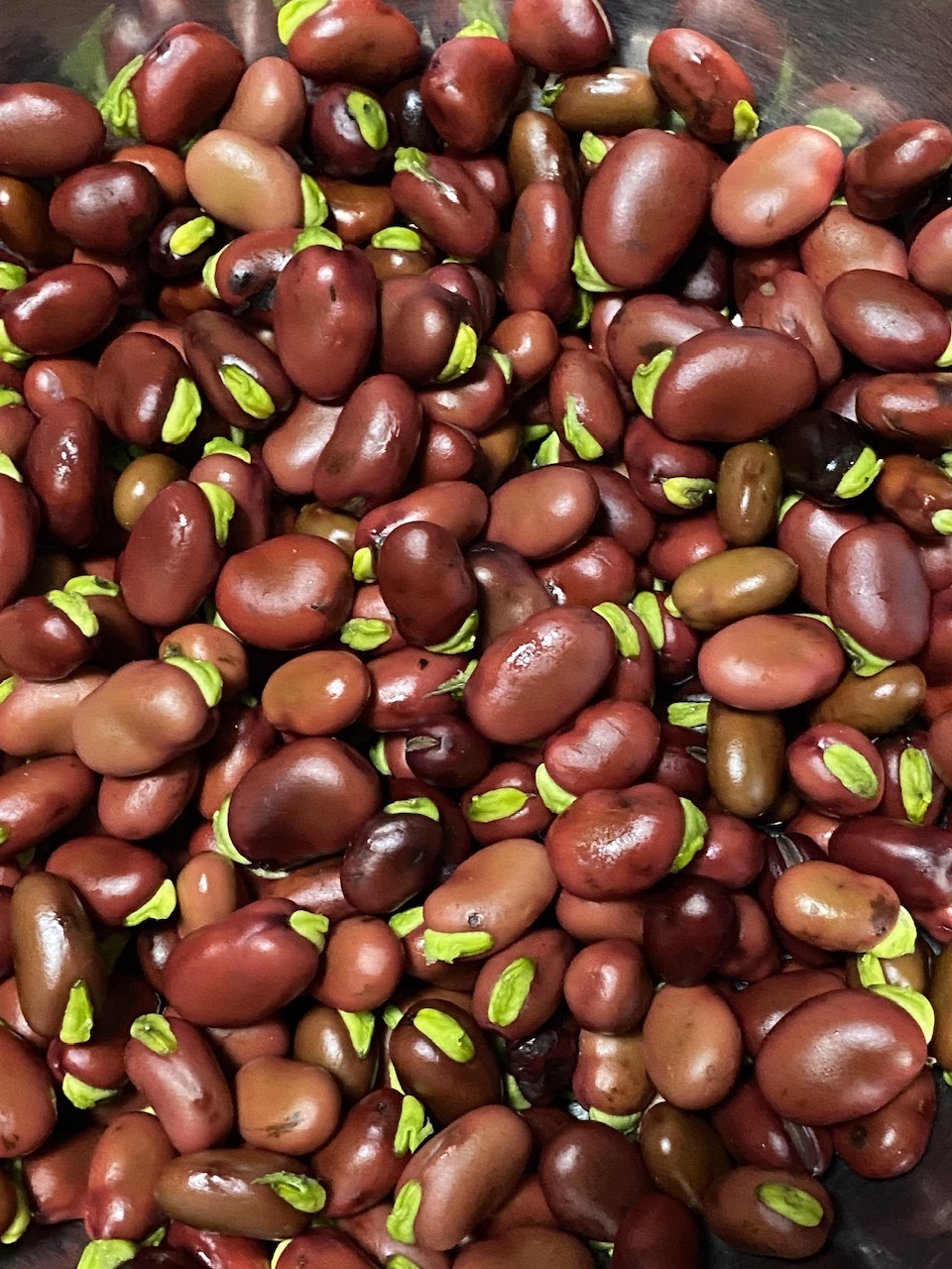 ①そら 無農薬文旦20kg ②そら様専用 無農薬文旦文旦 20kg 【公式