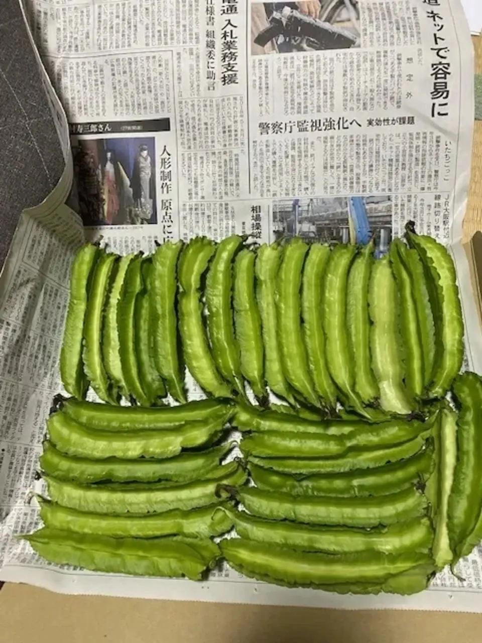 《農薬・肥料不使用》四角豆　　　四角豆とオクラ同梱