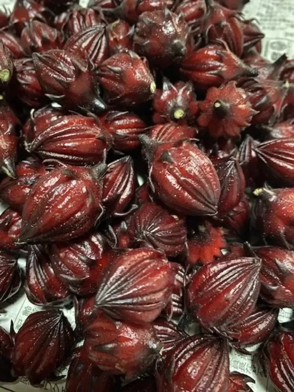 ローゼル　１キロ　生の実　無農薬 フレッシュ！朝取り！農薬不使用！生ローゼル（1キロ）：熊本県産の