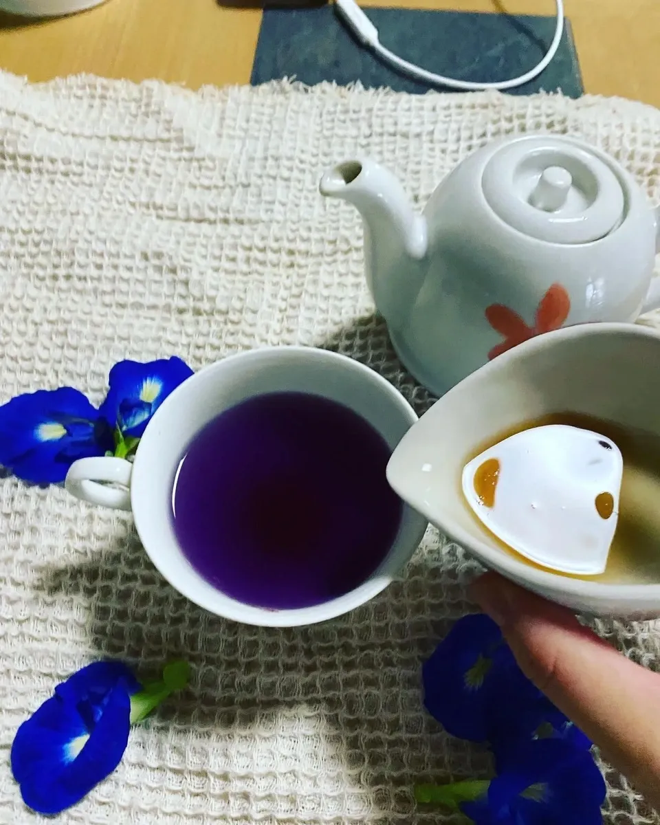 《農薬・肥料不使用》バタフライピーの青いお茶
