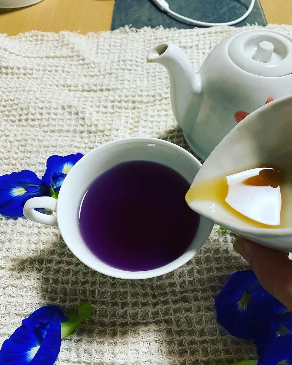 《農薬・肥料不使用》バタフライピーの青いお茶