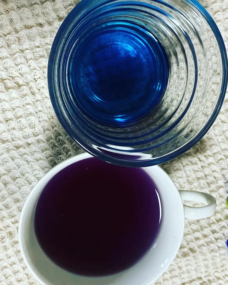 《農薬・肥料不使用》バタフライピーの青いお茶