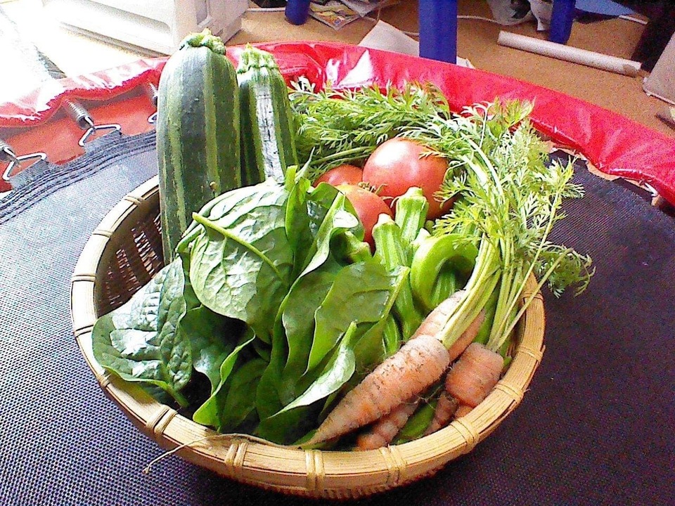 農薬・肥料不使用》里芋 HOP-PE-PE ~you are what you eat~ (岡山県産