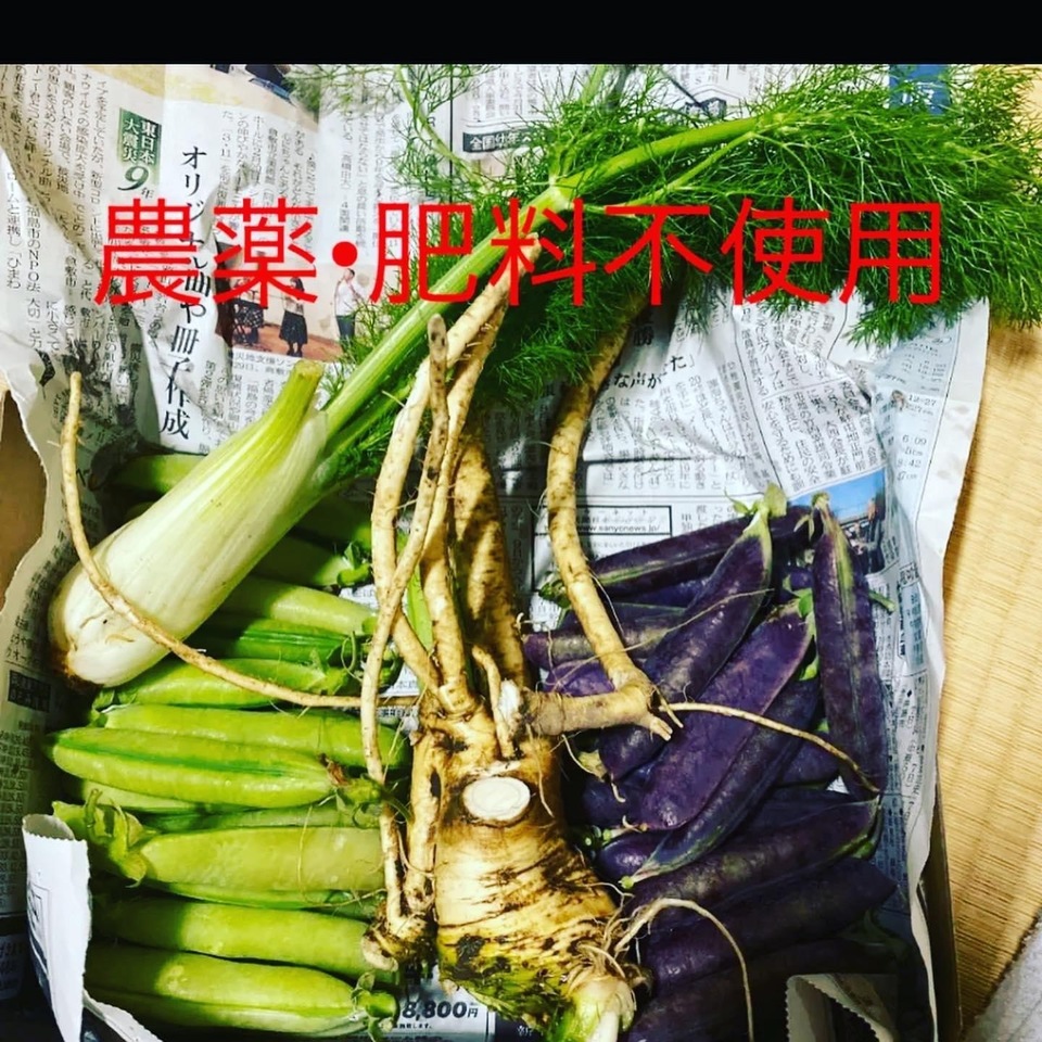 農薬・肥料不使用》里芋 HOP-PE-PE ~you are what you eat~ (岡山県産