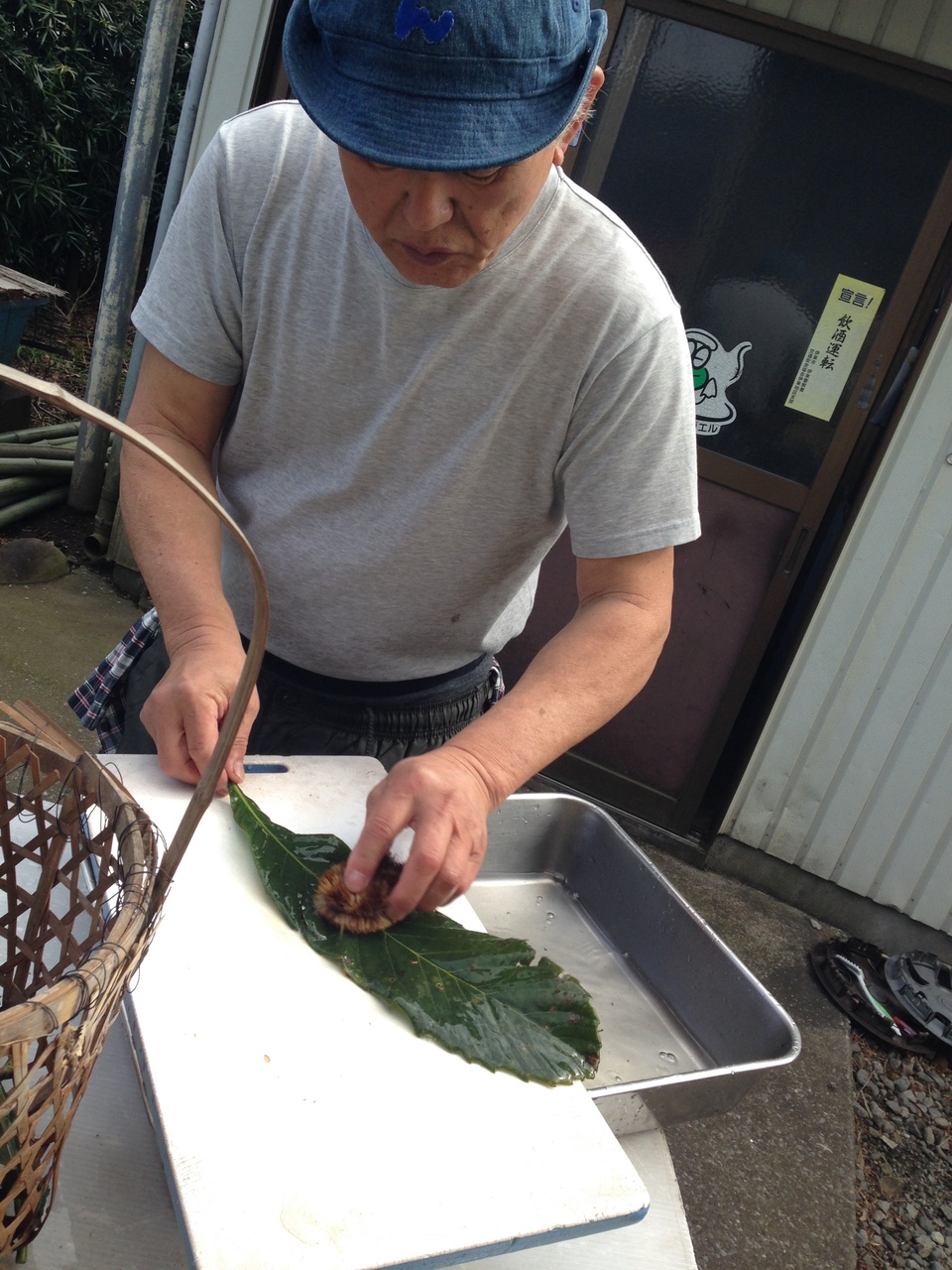 完全天日干し 白びわの葉 (100g) 静岡県 無添加・無農薬 ホリヨシ