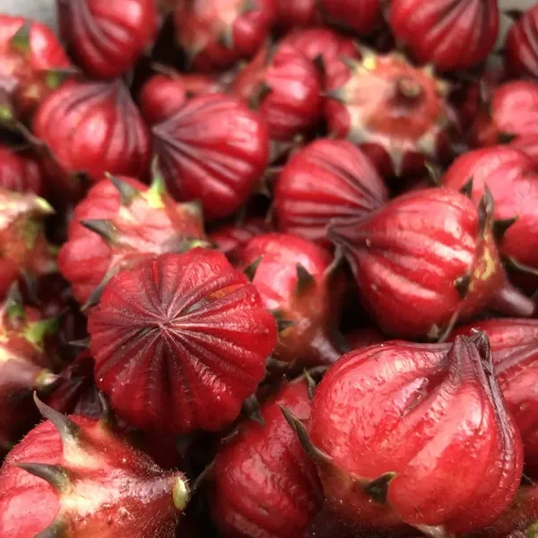 生ローゼル(400g）