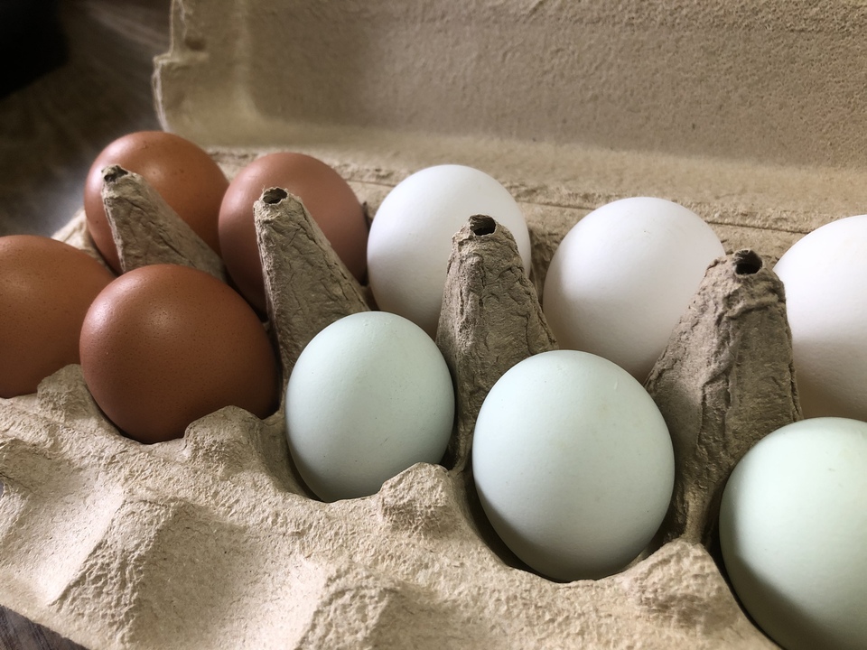みんなのたまご」 3色カラフルな平飼い卵の詰め合わせ おやまの農園ほ