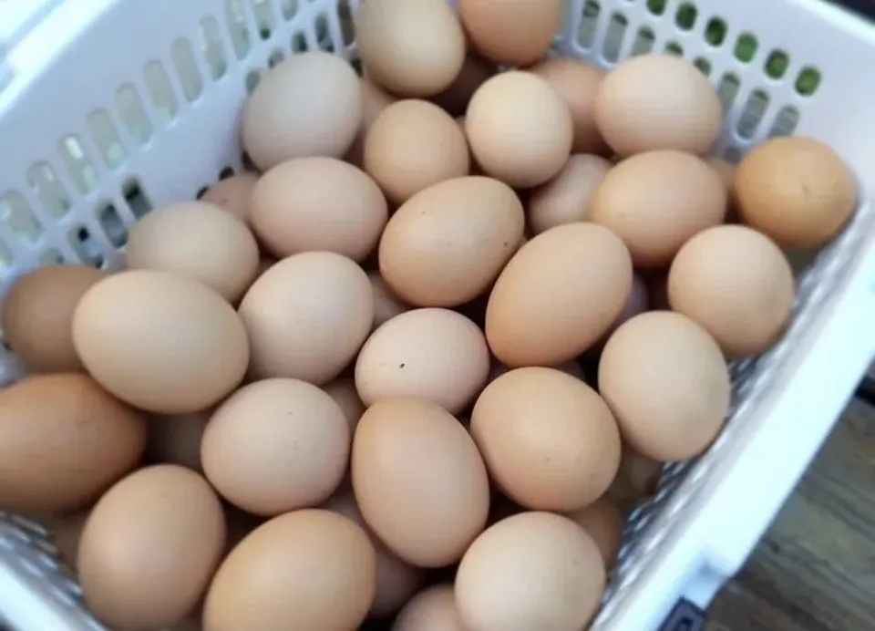 平飼い卵80個4/14常温発送きんつばわさび 平飼い卵80個4/14常温発送きんつばわさび様専用 食品