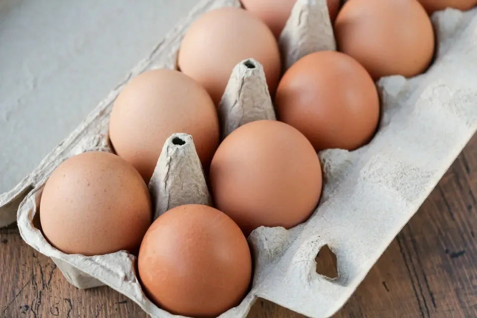 やまたま」 平飼い有精卵 おやまの農園ほーんびる (静岡県産) 有精卵