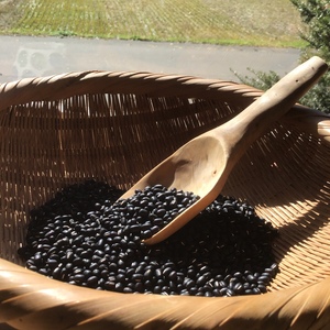 horsemade landscapeの通販 - たべるとくらすと