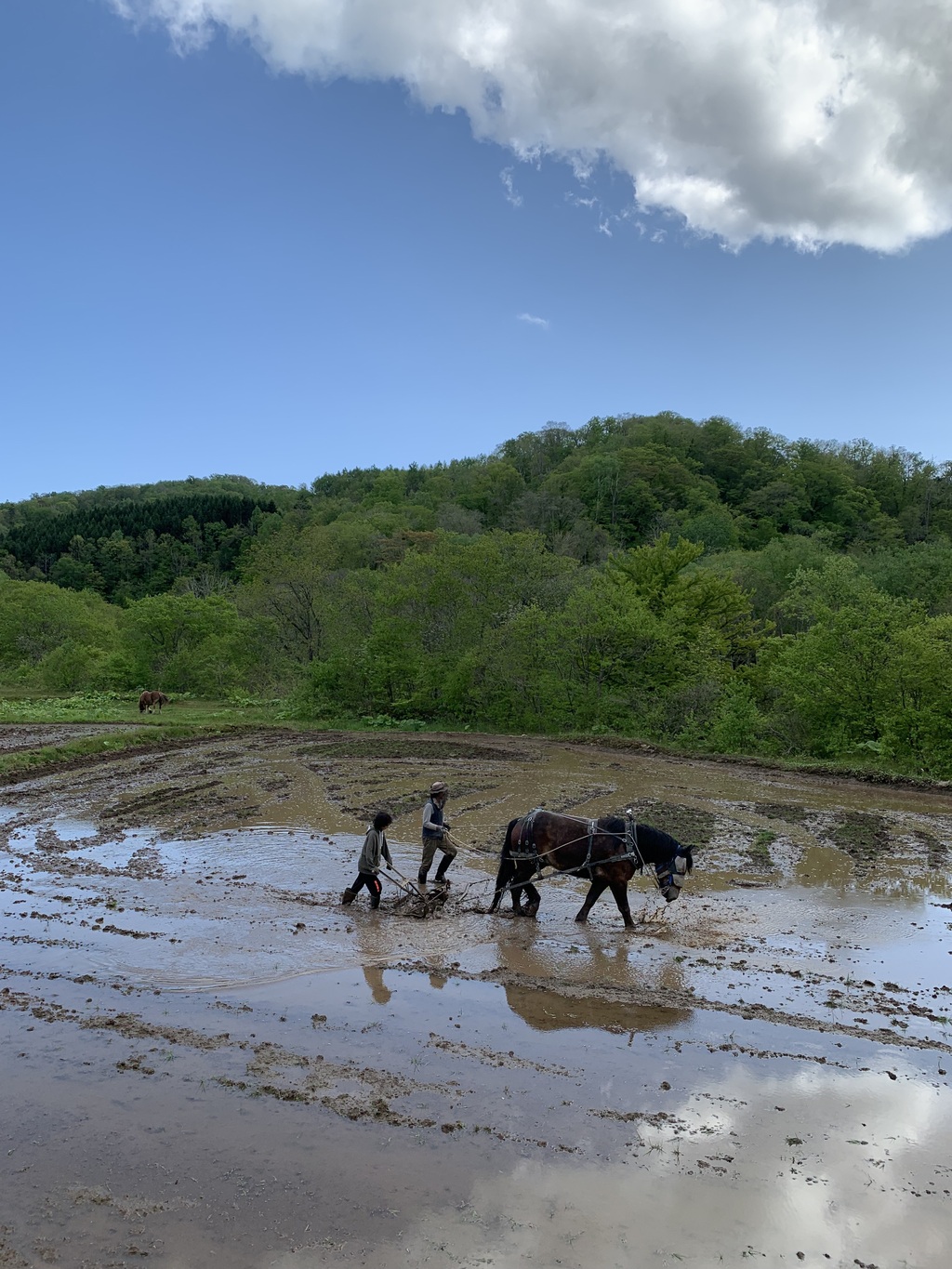 horsemade landscapeメイン画像