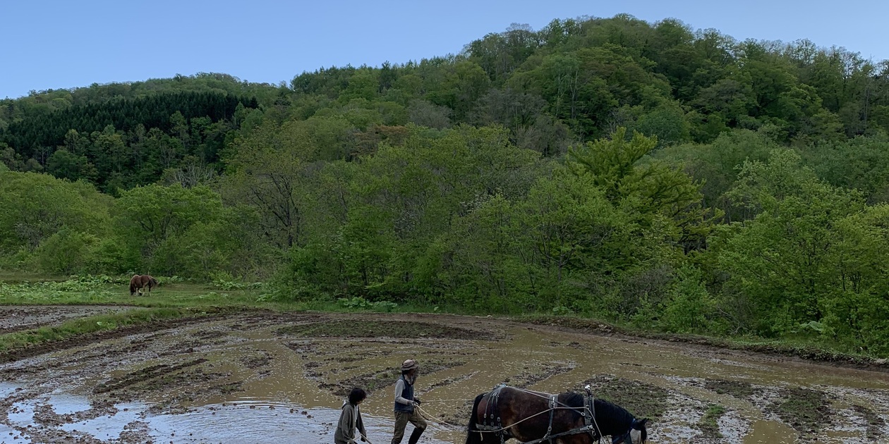 horsemade landscapeロゴ