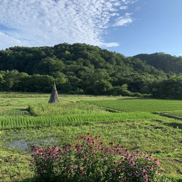 horsemade landscapeプロフィール画像