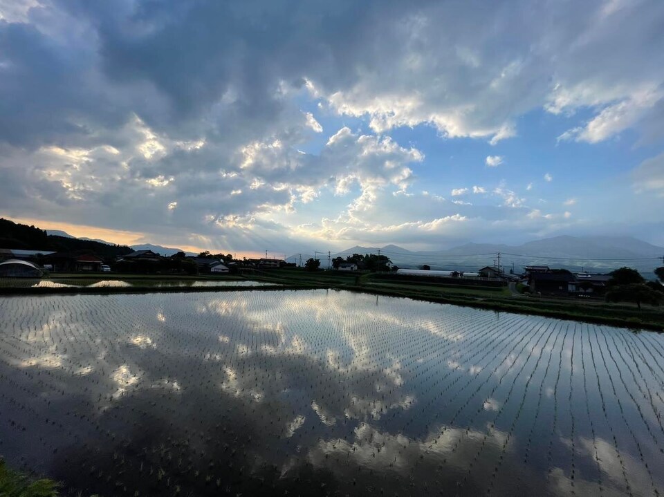 令和7年産 / こしひかり精米 <農薬・化成肥料・堆肥・除草剤不使用栽培>