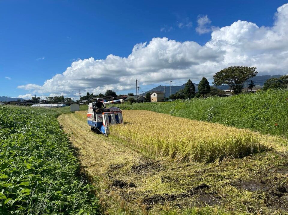令和7年産 / こしひかり精米 <農薬・化成肥料・堆肥・除草剤不使用栽培>