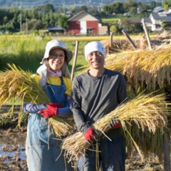 令和7年産 / 天日干し湧水こしひかり精米 ＜農薬・化成肥料・堆肥