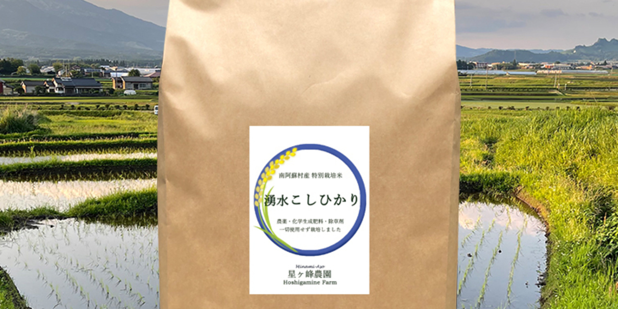 みっちゃん　令和6年度【湧き水栽培】農薬不使用玄米　コシヒカリ 令和6年産 / 湧水こしひかり玄米＜農薬・化成肥料・堆肥・除草