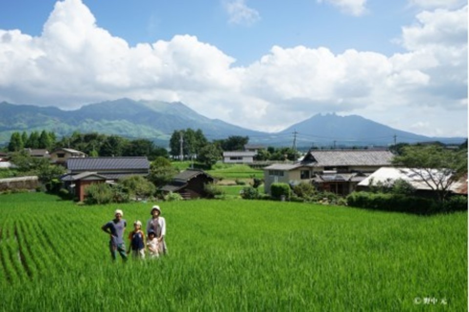 令和7年産 / 湧水こしひかり精米 <農薬・化成肥料・堆肥・除草剤不使用栽培>