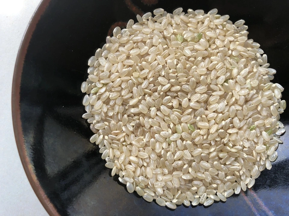 🌾古米SALE🌾令和7年産 / 星ヶ峰農園のこしひかり・各種<農薬・化成肥料・堆肥・除草剤・動物性堆肥不使用栽培>
