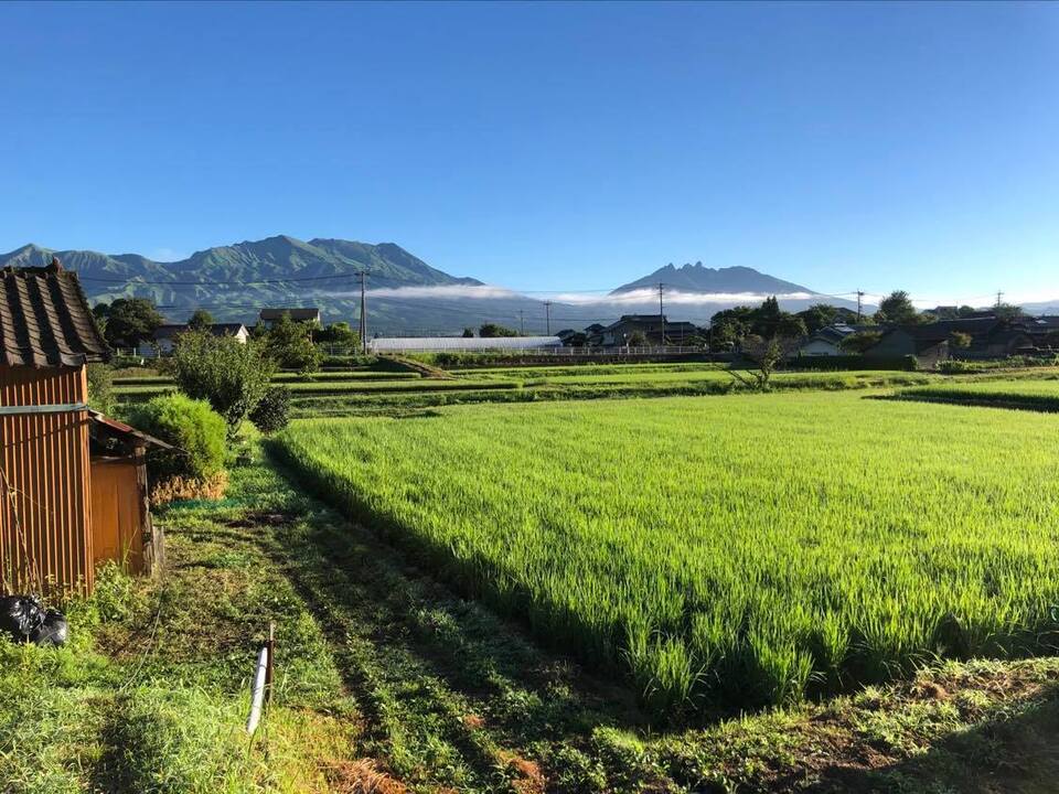 令和7年産 / 湧水こしひかり精米 <農薬・化成肥料・堆肥・除草剤不使用栽培>