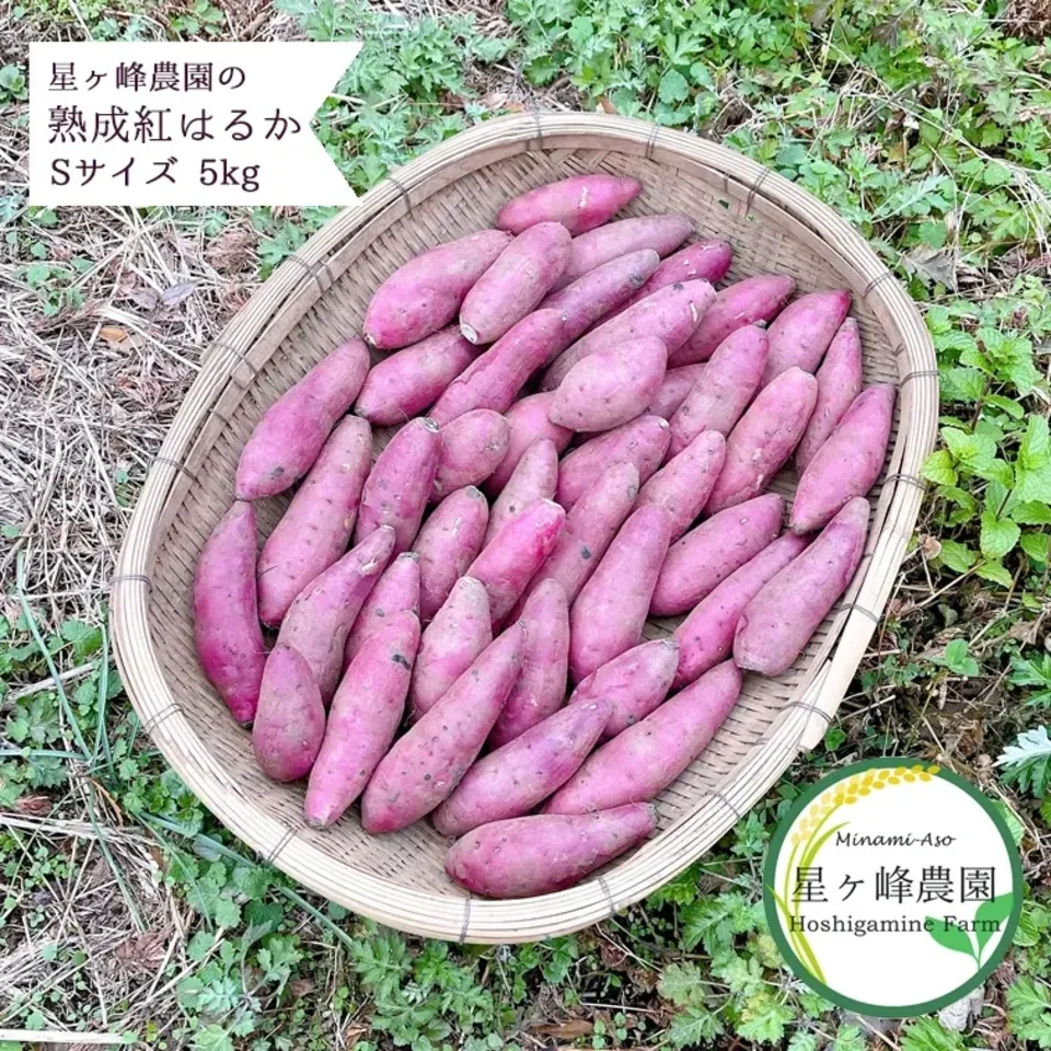 無農薬熟成紅はるか「さつまいも」3Lサイズ箱込み20キロ程 令和6年産・南阿蘇産【熟成紅はるか】 (農薬・化成肥料・除草剤