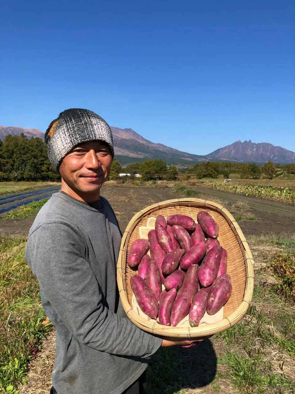 令和6年産・南阿蘇産【熟成紅はるか】 (農薬・化成肥料・除草剤
