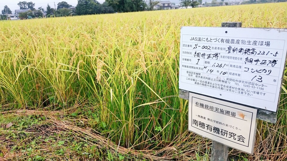 【令和7年度産】安曇野産コシヒカリ 【有機JAS認定米】　　　　　　 ～令和6年度米食味コンテスト金賞受賞～