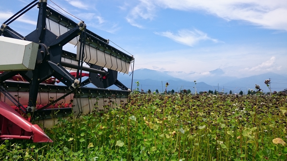 そば粉 （無農薬、無化学肥料栽培）