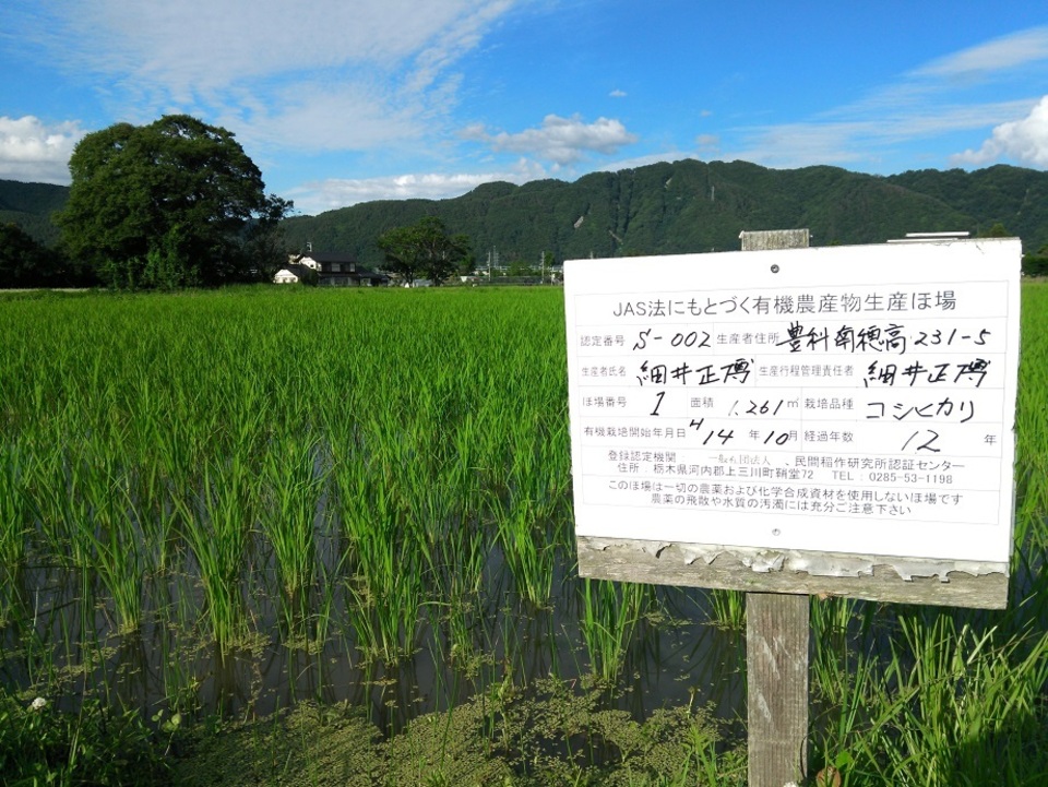 玄米珈琲（無農薬、無肥料栽培）