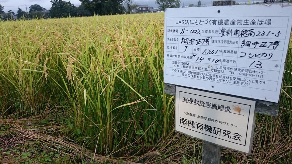玄米珈琲（無農薬、無肥料栽培）