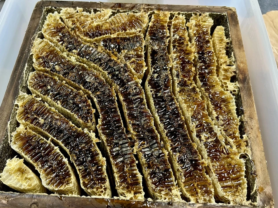 和蜂の純粋はちみつ