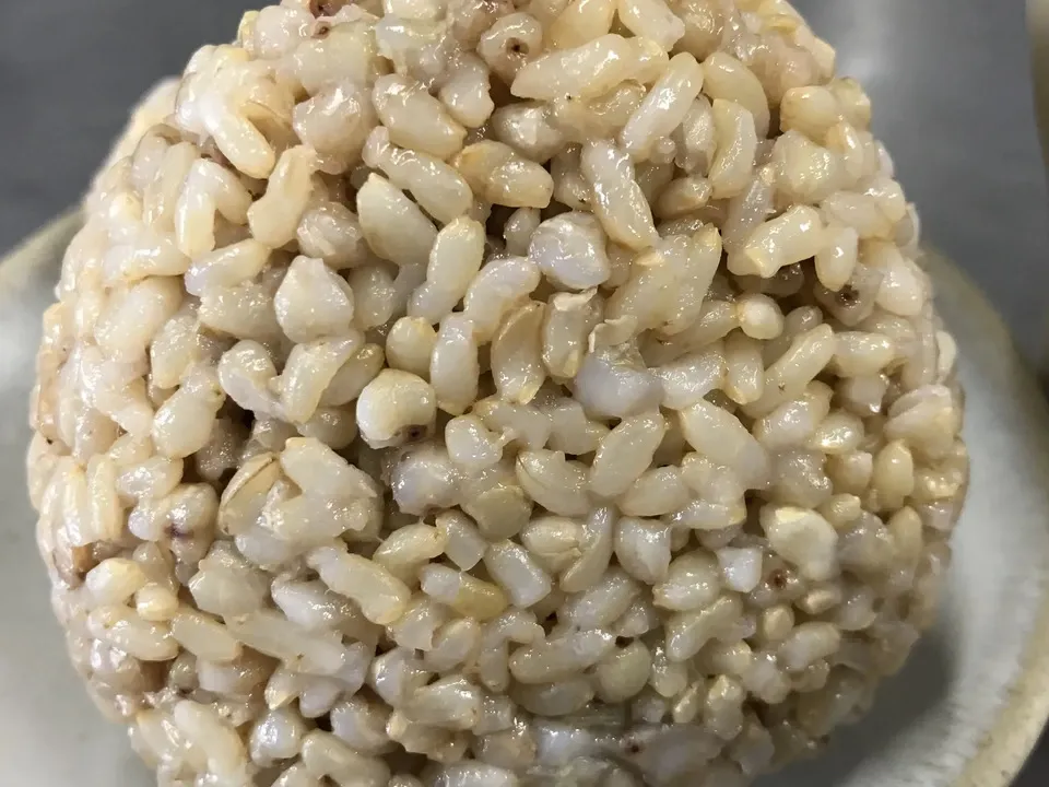 新米】令和7年度産/安曇野産コシヒカリ 【無農薬・無肥料の自然