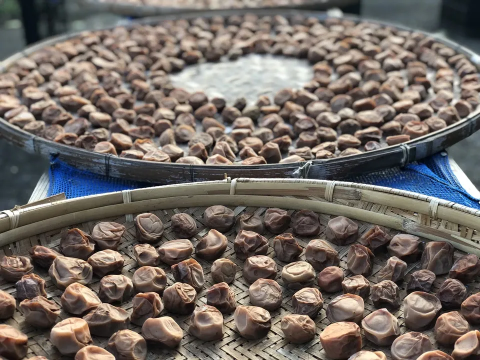 3年熟成】自然栽培の梅干し＜無添加食品＞ (農薬肥料不使用梅/赤紫蘇