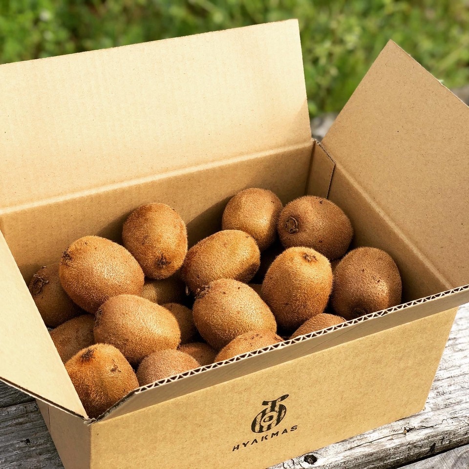 未追熟】自然栽培キウイフルーツ 【農薬・肥料不使用】有機JAS認証