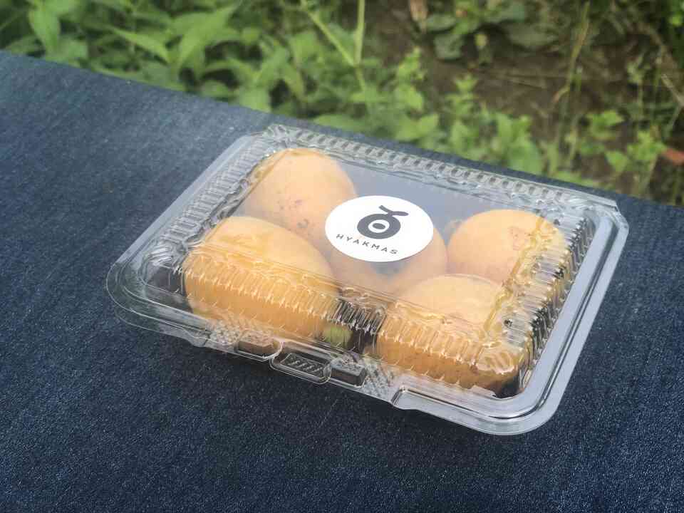 自然栽培 ビワ