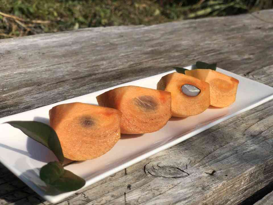 自然栽培 山柿