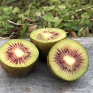 自然栽培 有機JAS認証キウイフルーツ 追熟済み!