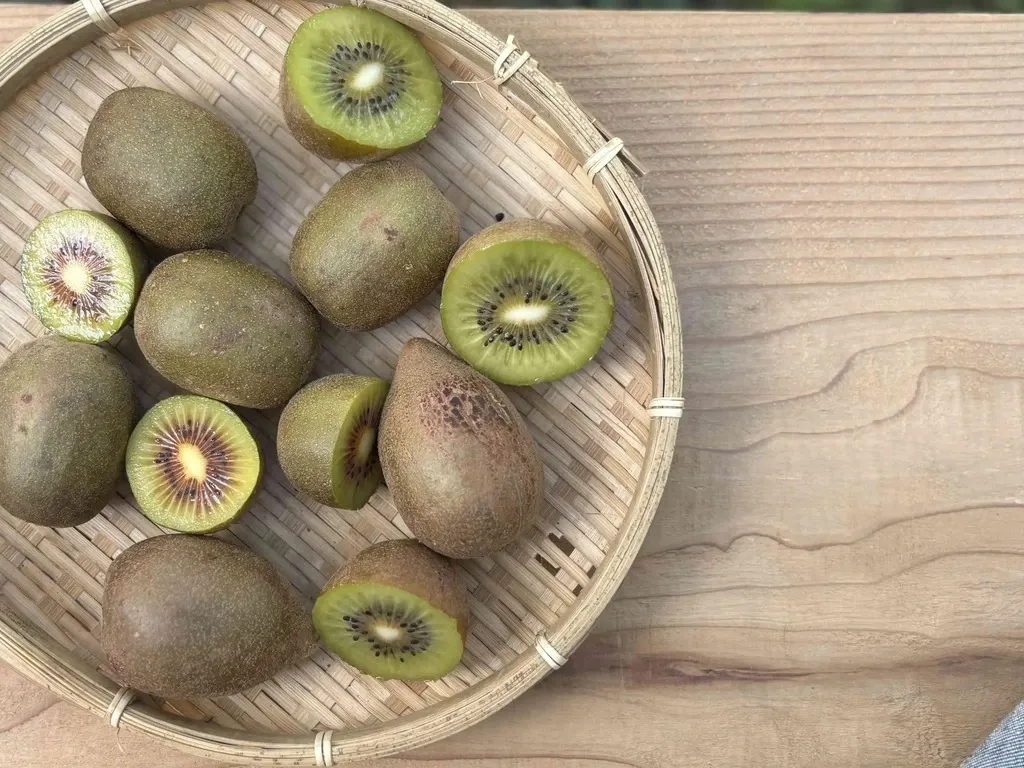 自然栽培 有機JAS認証キウイフルーツ 追熟済み！ ヒャクマス (大分県産