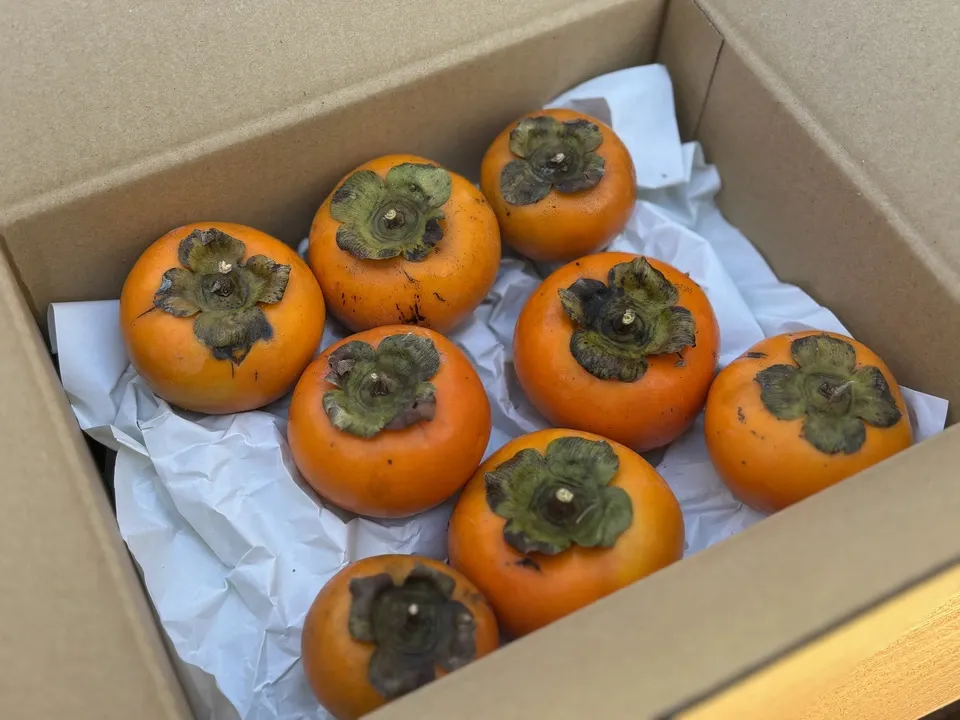自然栽培 山柿