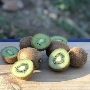 自然農 グリーンピース BIG FAMILY FARM (佐賀県産) 豆類通販 - たべる