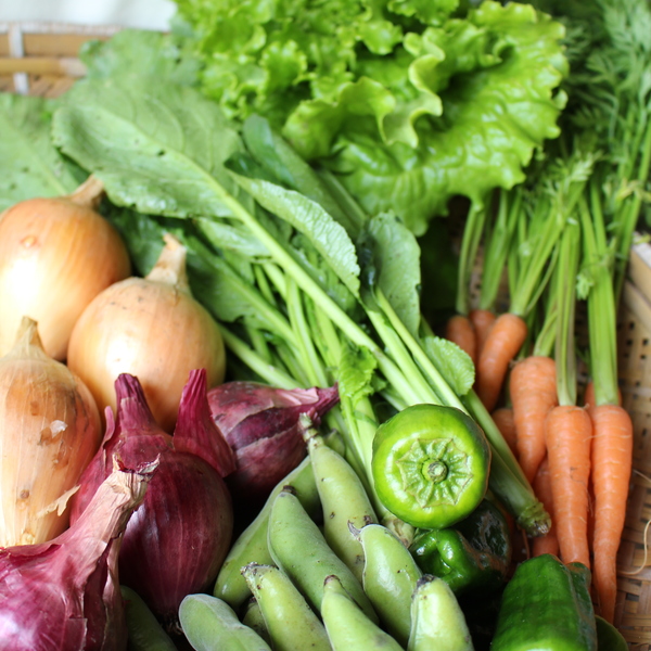 季節のおまかせ自然農野菜セット ペケレ自然農舎 (福岡県産