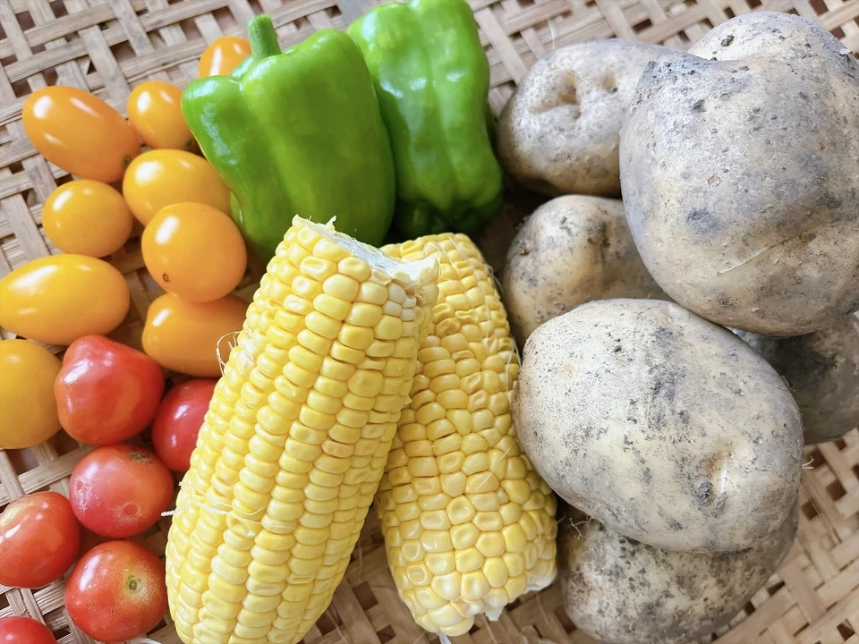 野菜セット(とうもろこし•ミニトマト•じゃがいも•ピーマン)