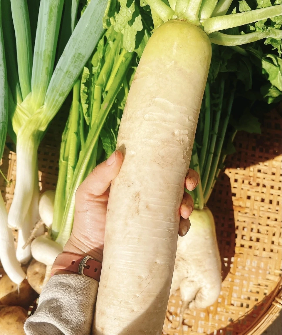 野菜セット(ネギ•大根•かぶ•じゃがいも)