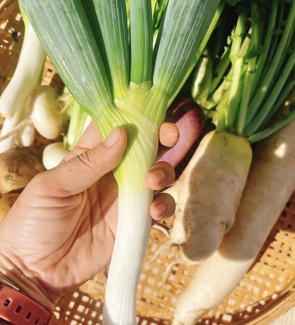 野菜セット(ネギ•大根•かぶ•じゃがいも)